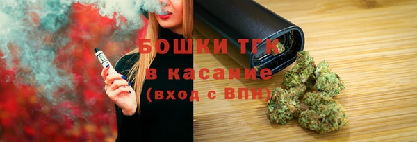 стафф Карпинск