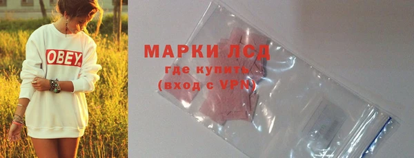 стафф Карпинск