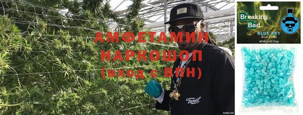 стафф Карпинск
