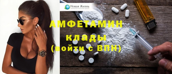 амф Касимов